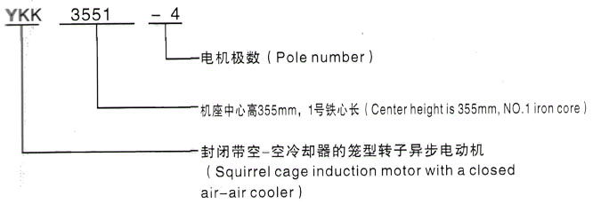 YKK系列(H355-1000)高压YR6302-8三相异步电机西安泰富西玛电机型号说明