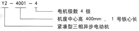 YR系列(H355-1000)高压YR6302-8三相异步电机西安西玛电机型号说明